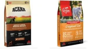 Mejores marcas de pienso para perros imagen principal