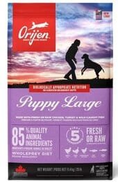 Pienso cachorros raza grande Orijen puppy large