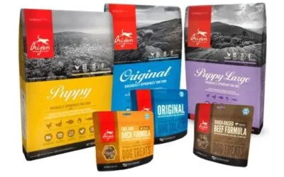 Pienso para perros orijen foto portada de la entrada del blog