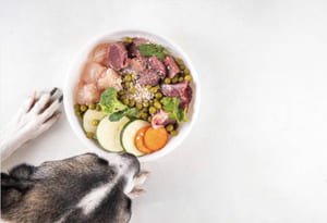 Receta de carne y vegetales de comida barf para perro Receta de comida barf para perro con carne magra y vegetales imagen representativa