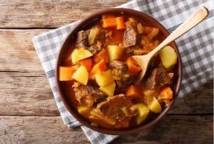 Tipos de comida para perros comida casera imagen representativa