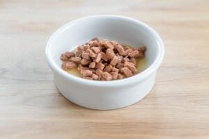 tipos de comida para perro comida húmeda imagen representativa