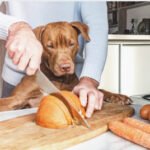 Perro y dueño cocinando juntos