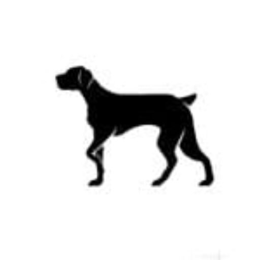 comida para perros página web logo