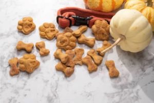 Receta galletas de calabaza para perros imagen representativa