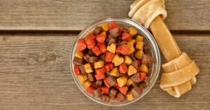 Mejor comida para perros imagen principal